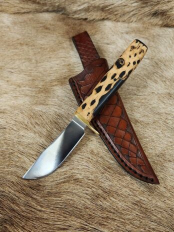 #6634   Hunt Knife with Cholla Cactus Handle