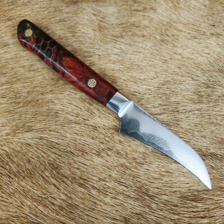 Damascus Bird Beek Peeling Knife