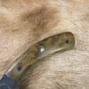 #6850 Camp Knife W Redwood Burl Handle - Image 5