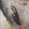 #6850 Camp Knife W Redwood Burl Handle - Image 3