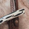 #6864 Stainless Hammered Hunter Skinner - Image 5
