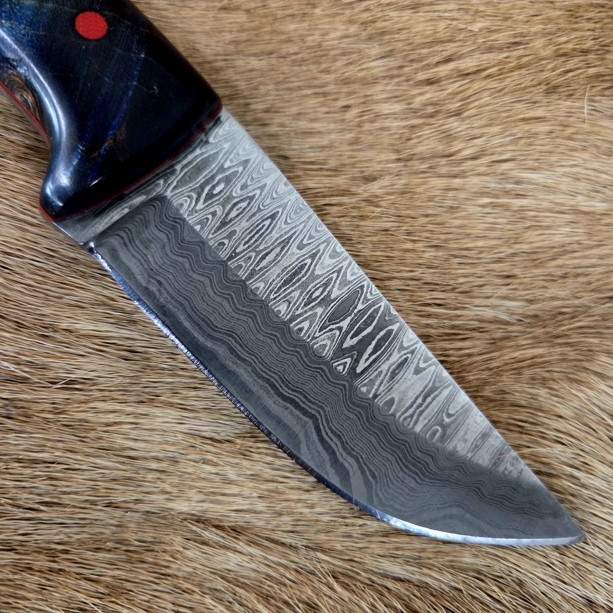 #6924 Damascus Skinner - Image 3