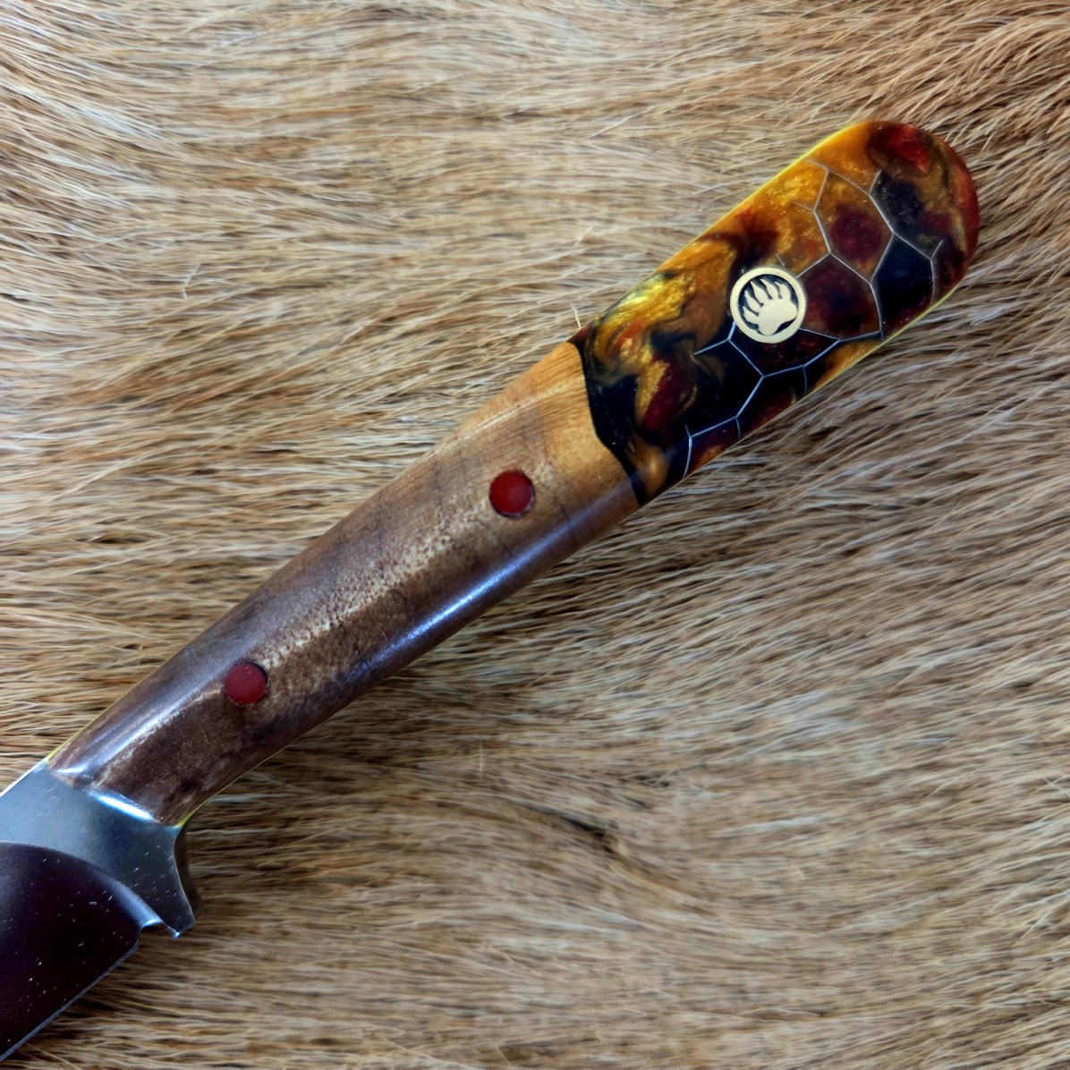 #7006 Small Everyday Carry Knife - Image 3