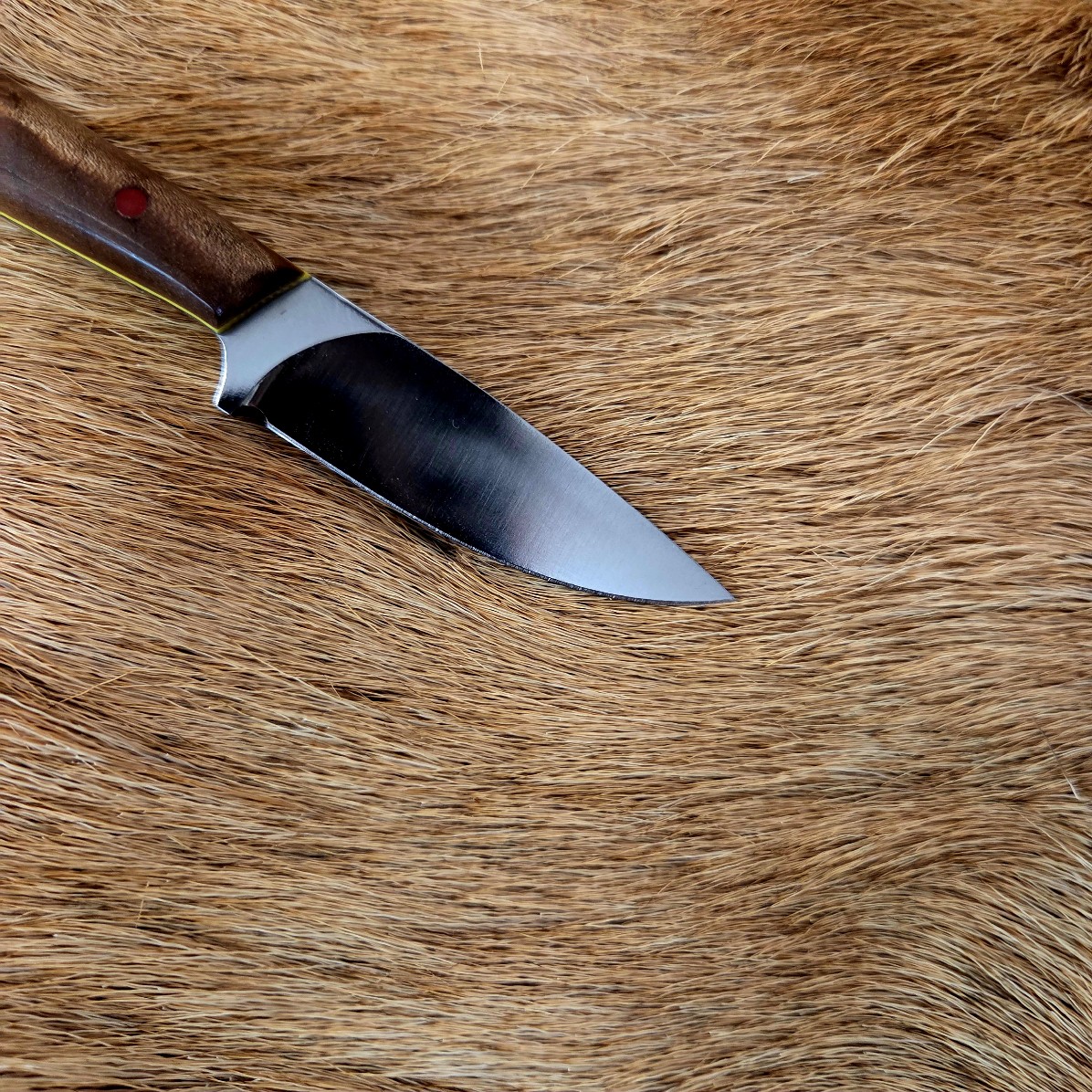 #7006 Small Everyday Carry Knife - Image 2