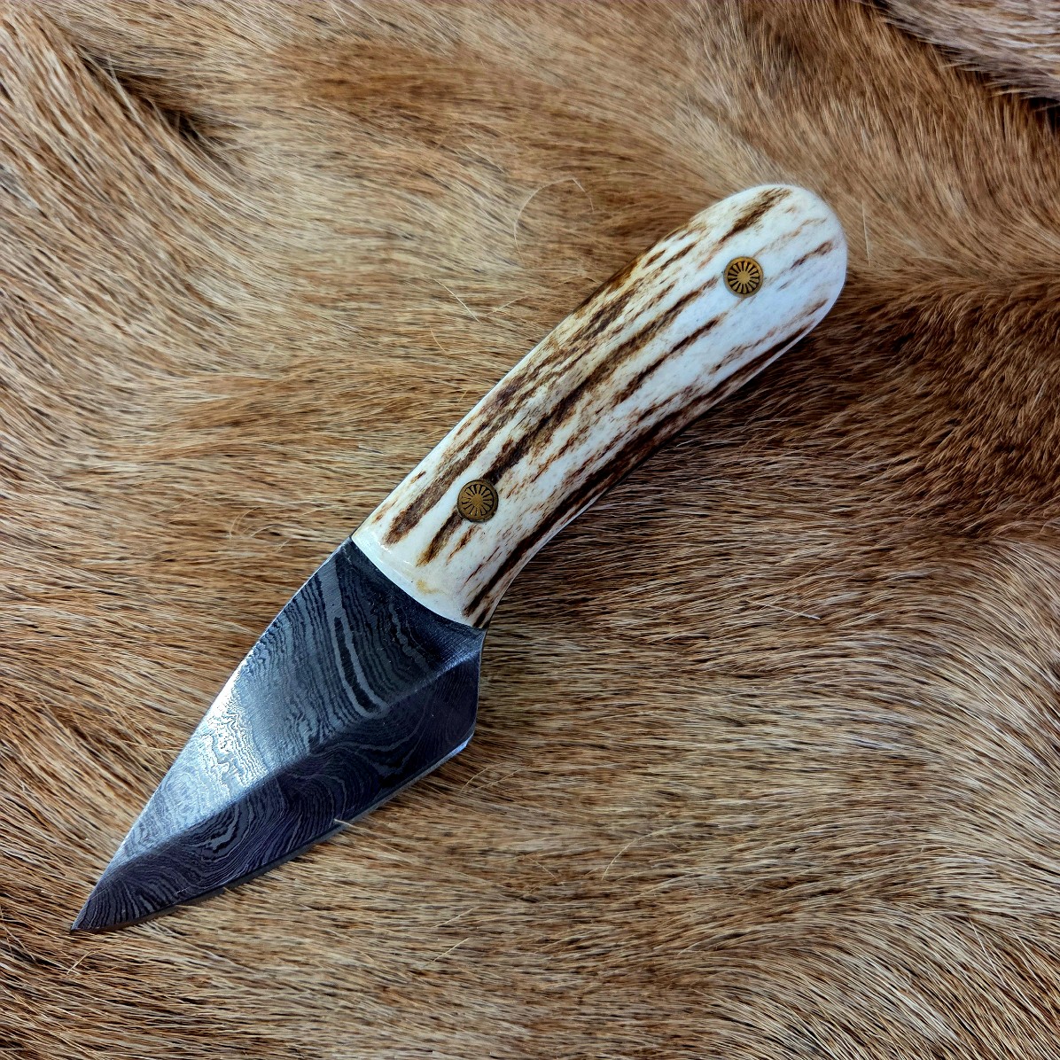 #7016 Damascus Skinner - Image 3