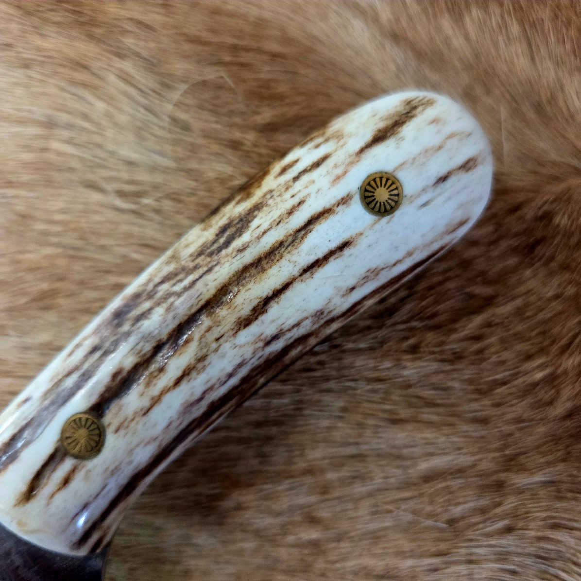 #7016 Damascus Skinner - Image 2