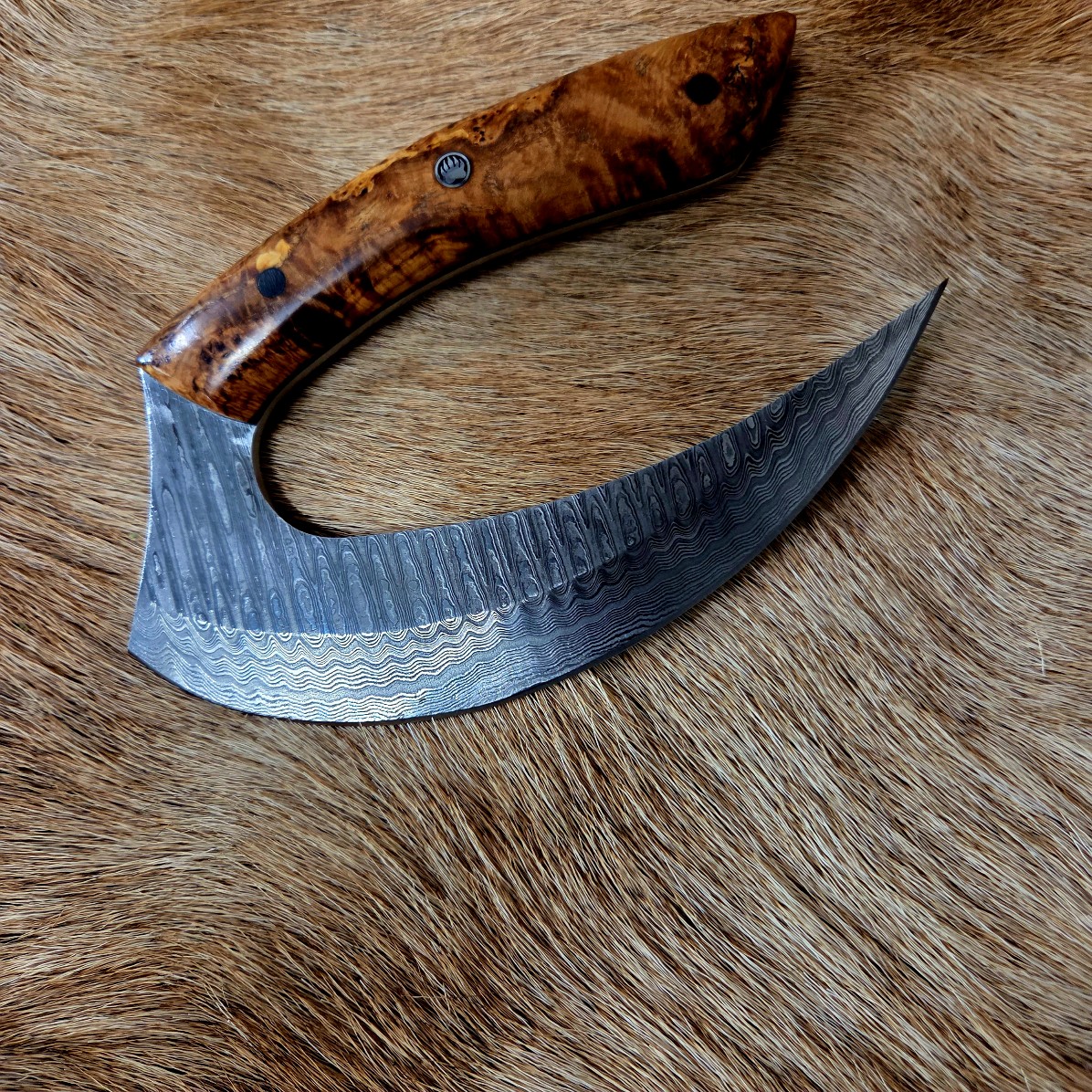 #7018 Beautiful Custom Damascus Ulu - Image 6