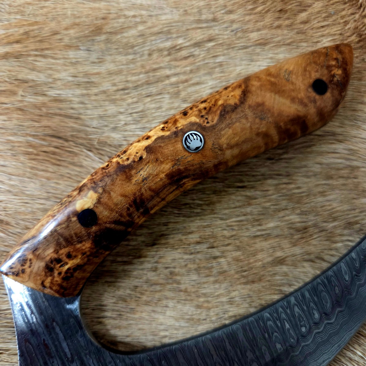 #7018 Beautiful Custom Damascus Ulu - Image 5