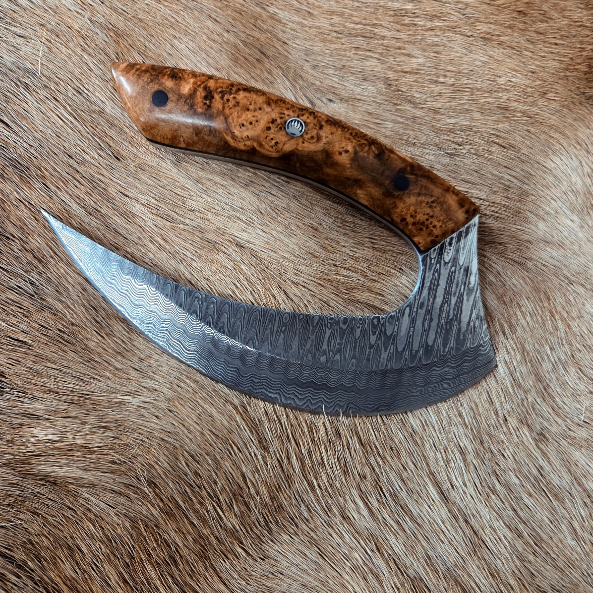 #7018 Beautiful Custom Damascus Ulu - Image 3