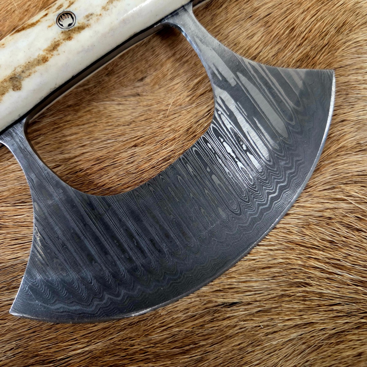 #7020 Damascus Ulu - Image 3