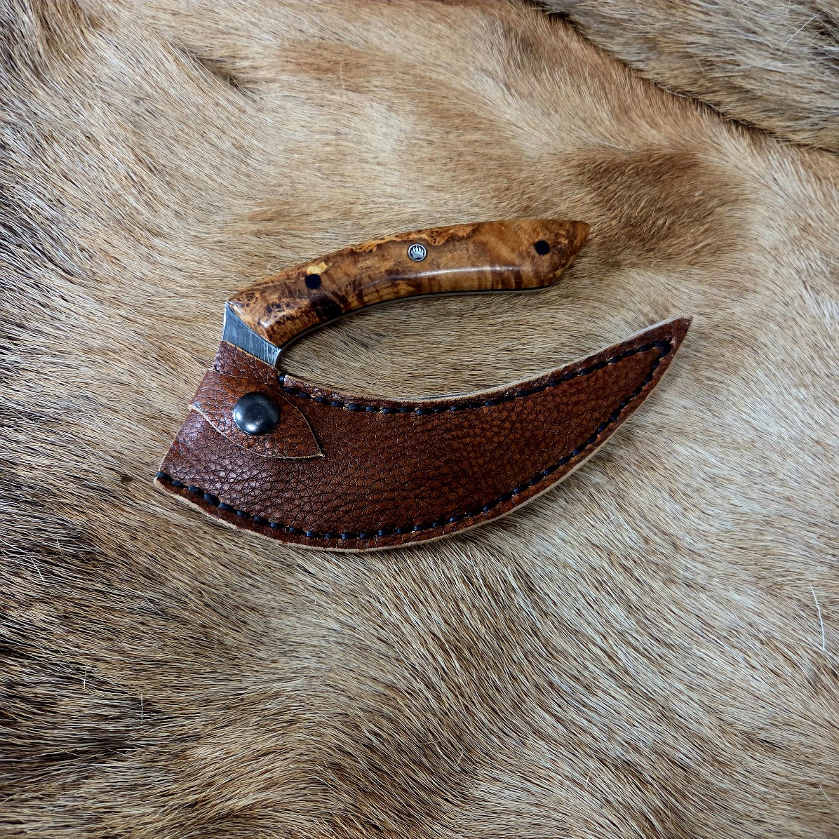 #7018 Beautiful Custom Damascus Ulu - Image 2