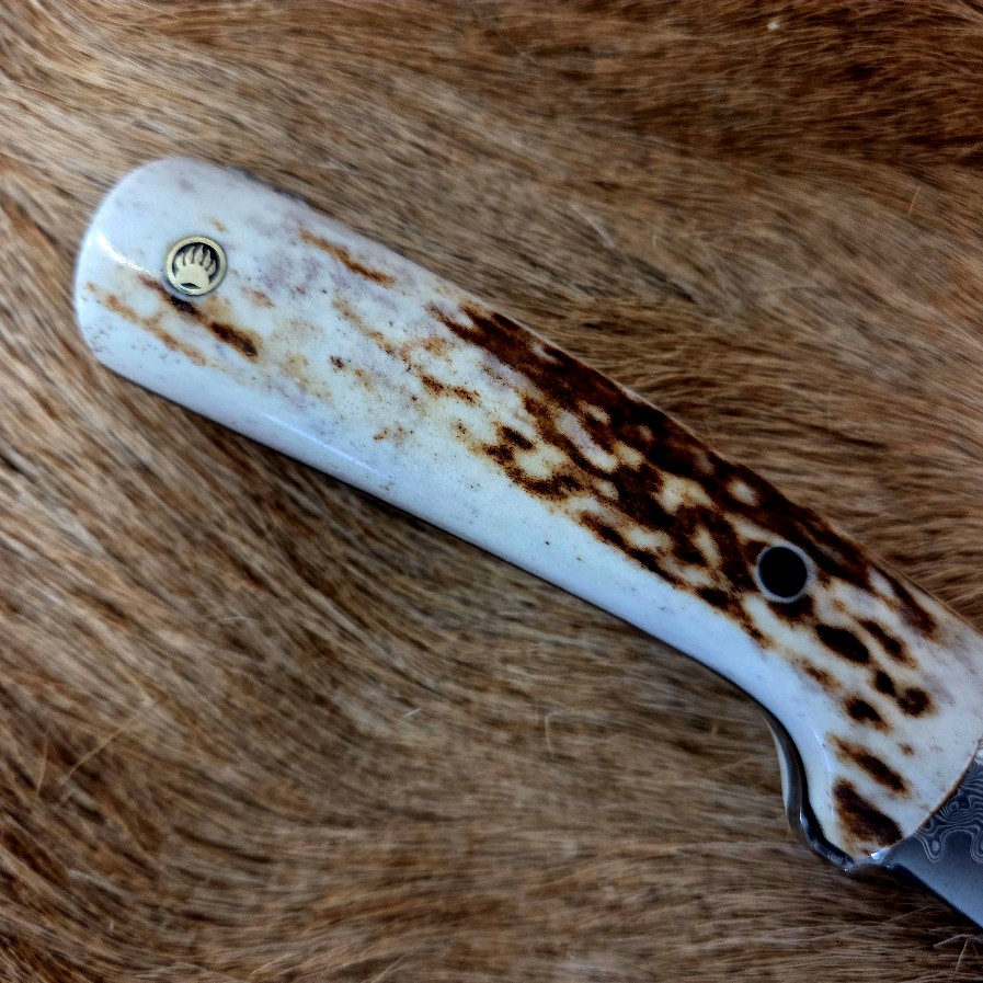 #7038 Damascus Drop Point Knife - Image 2