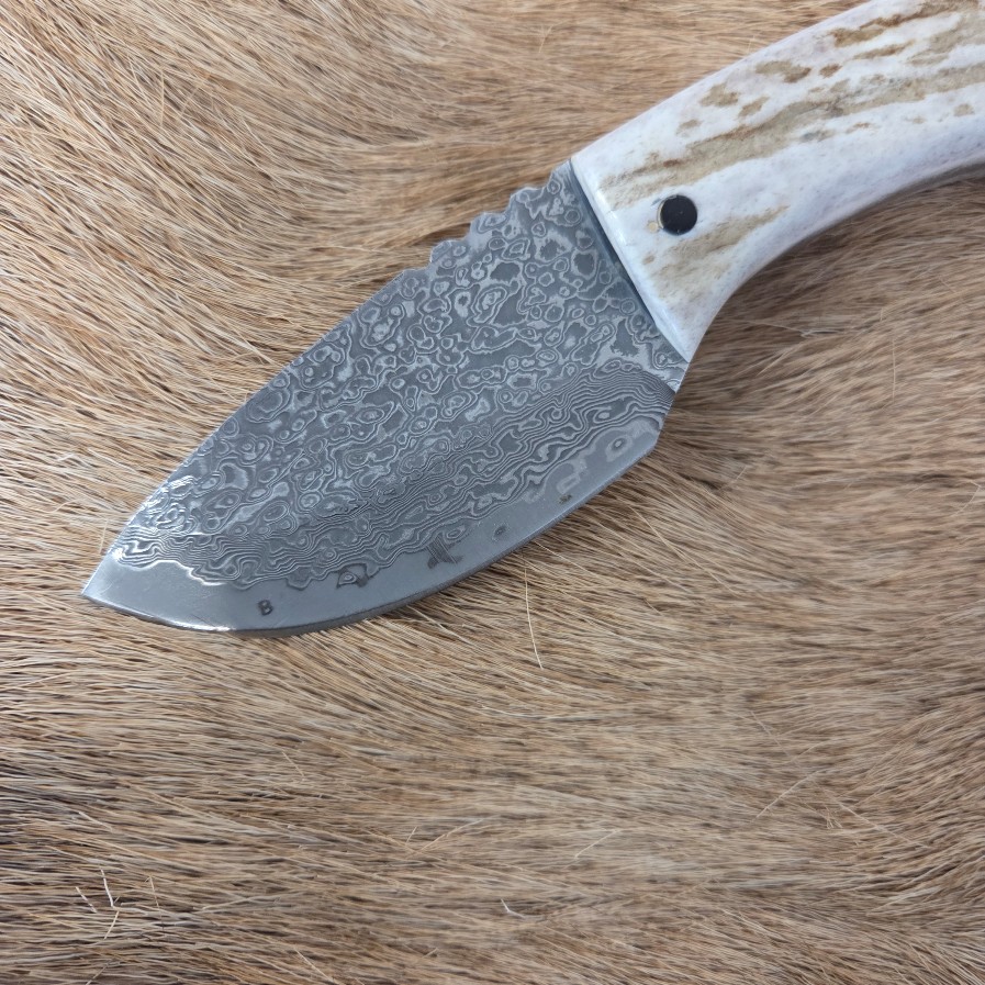 #7032 Damascus "Fat Boy" Hunter Skinner - Image 5