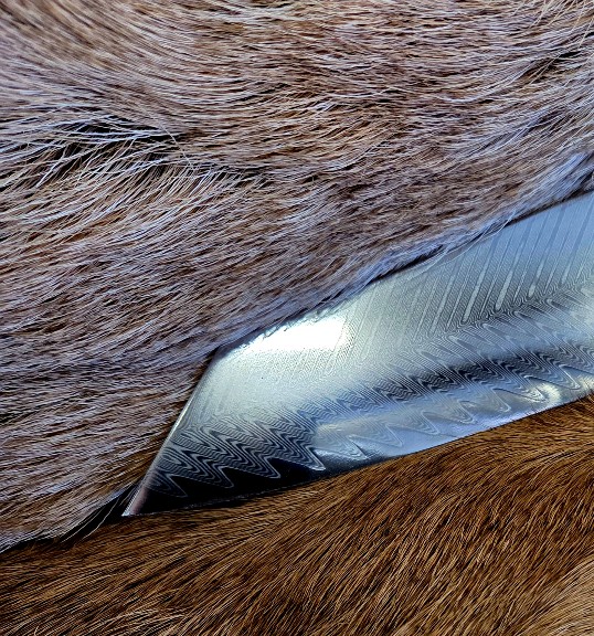 #7052 Kiritsuke Chef's Knife - Damascus - Image 2