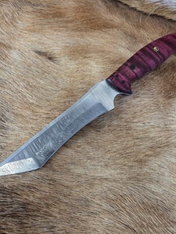 #7144 Damascus Tanto W Curly Mango Handle