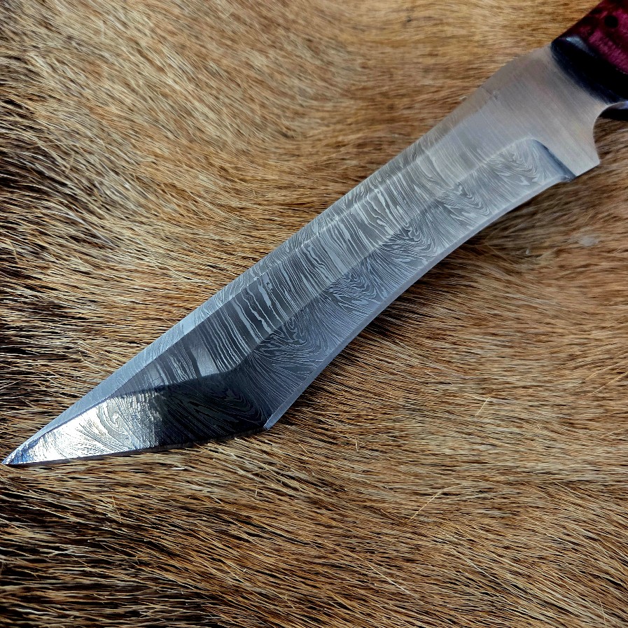 #7144 Damascus Tanto W Curly Mango Handle - Image 3